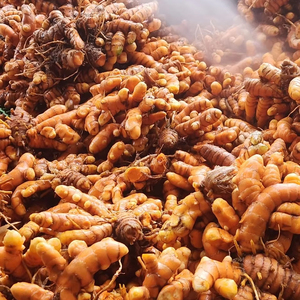 ขมิ้นสดแห้งจากเวียดนาม - Product Image 3