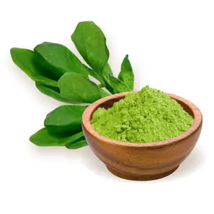 Organic Spinacia Oleracea Spinach Extract Manufacturing Bulk Supply Dietary Food Organic Spinach Powder