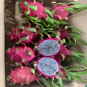 Pitaya Roja y Amarilla Fresca de Vietnam, Calidad Garantizada, Fruta Dulce para Compradores Extranjeros - Product Image 5