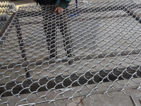 Clôture en treillis métallique de haute qualité, directement de l'usine, maille en chaîne de diamant, produit de qualité supérieure