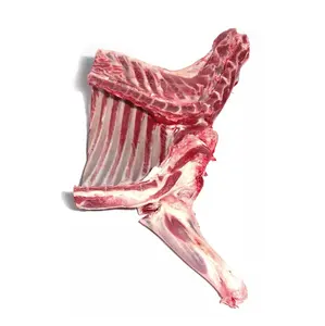 Frische Qualität Hot Selling Frozen Lamb Leg Frozen Lamb Meat Leg zum Verkauf