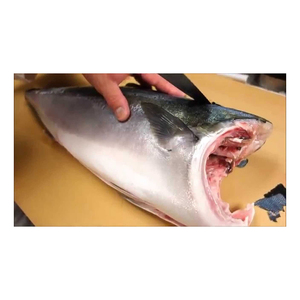 Filete de Hamachi de Origen Industrial Disponible para Demanda a Granel Continua - Product Image 4