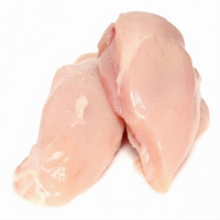Filet de poitrine de poulet surgelé sans os de qualité supérieure |   Filets de poulet halal de haute qualité, sans graisses trans, en vrac, riches en vitamines, prix compétitifs
