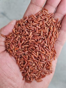 ข้าวเวียดนามเพื่อสุขภาพ | อุปทานจำนวนมากของข้าวผสมธรรมชาติ (esther) - Product Image 2