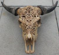 Meilleure pièce d'exposition décorative crâne de corne de taureau et longue corne de boeuf décorative murale corne de buffle naturelle pour la maison fabriquée en Inde