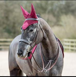 Juego completo de brida de caballo de cuero genuino con broca y riendas marrón-Producto genuino del fabricante - Product Image 5