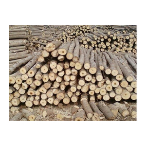 Kiln Dried Birch Firewood Logs 25cm Kiln Dried Firewood Oak And Beech Logs Mangrove Hardwood Firewood For Sale