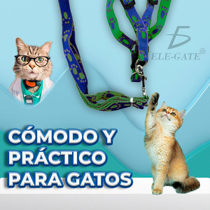 Set Guinzaglio e Pettorina per Cani in Neoprene e Poliestere, Traspirante, con Motivi Carini, Lusso Semplice, Ideale per Gatti e Cani di Taglia Piccola e Media - Product Image 4