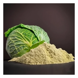 Polvo de Repollo Apto para la Industria Alimentaria y Cocinas Comerciales a Precio Competitivo - Product Image 3