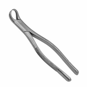 Forceps d'extraction dentaire en acier inoxydable type corne de vache, Forceps dentaire américain n° 23 en acier inoxydable type corne de vache - Product Image 1