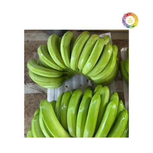 ผลิตภัณฑ์ส่งออกเขตร้อนกล้วยสีเหลืองสดจากเวียดนามสำหรับการใช้บรรจุและแจกจ่ายอาหาร - Product Image 6