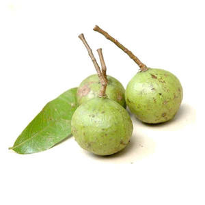 FRUTA DRACONTOMELON CONGELADA/CALIDAD SELECCIONADA/SUMINISTRO AL POR MAYOR PARA EL MERCADO GLOBAL/LISTO PARA USAR - Product Image 1