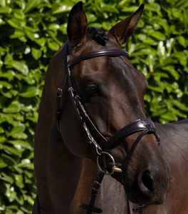 Bridon de cheval en cuir de style anglais traditionnel, finition de haute qualité pour l'équitation en plein air, l'entraînement et la compétition - Product Image 5