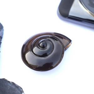 Tự nhiên màu đen onyx đá vỏ ốc xà cừ khắc đá quý hạt Đối với trang sức mặt dây chuyền làm khoan lỏng vỏ biển chạm khắc 25 mét số lượng lớn - Product Image 5