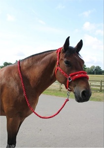สายจูงม้าแบบไนลอนสไตล์ขี่ม้า พร้อมอุปกรณ์เสริม PVC และ PP สำหรับม้า - Product Image 6