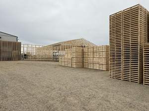 Nuevo stock Epal euro Palets de madera Venta al por mayor Nuevo Epal/ Euro Palets de madera/Palé europeo de madera 1200X800 listo para entrega rápida - Product Image 2