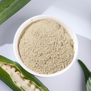 Poudre d'okra séchée par pulvérisation 10 kg, poudre d'okra 1 oz, okra moulu 8 oz, poudre d'okra 3,52 oz, poudre d'okra séchée traditionnelle - Product Image 1