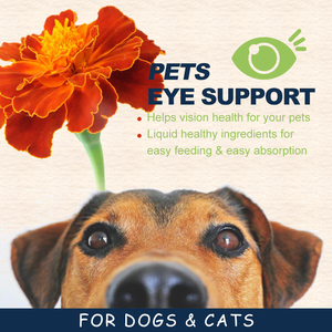 <span class=keywords><strong>Gotas</strong></span> <span class=keywords><strong>para</strong></span> los ojos <span class=keywords><strong>para</strong></span> perros en PET, <span class=keywords><strong>gotas</strong></span> <span class=keywords><strong>para</strong></span> los ojos <span class=keywords><strong>para</strong></span> perros y gatos, tratamiento de infección <span class=keywords><strong>ocular</strong></span> recomendado por el veterinario <span class=keywords><strong>para</strong></span> calmar la infección, alivio de alergias - Product Image 5