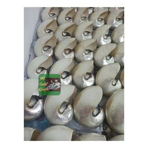 NAUTLUS SEASHELL PREMIUM AUTHENTIQUE NATUREL COQUILLE DÉCORATIVE VIETNAM VRAC VENTE EN GROS FOURNISSEUR QUALITÉ D'EXPORTATION OEM - Product Image 3