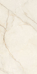 Carreaux à jet d'encre numérique haute résistance entièrement polis émaillés vitrifiés 60X120CM Porcelaine Chine Tuiles d'impression antiques pour urinoir wc. - Product Image 4