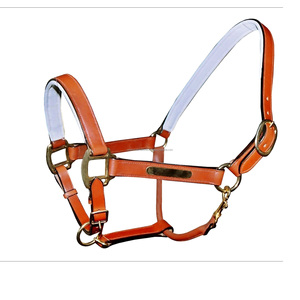 Alta calidad Durable acolchado cuero caballo Halter inglés sillín estilo ecuestre equipo cabeza Collar - Product Image 1