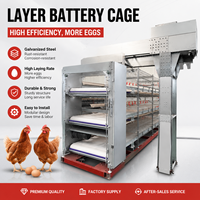 Grillage galvanisé robuste pour cages à poulets, équipement avicole pour l'élevage industriel de poules pondeuses
