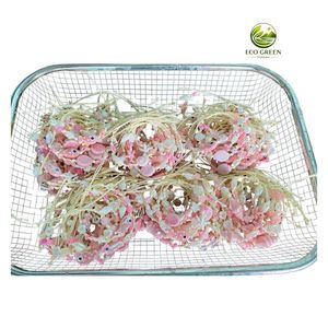 Pulsera Decorativa Hecha a Mano con Conchas Marinas, Pulsera Ajustable con Cordón, Joyería Boho de Playa, Venta Directa de Fábrica al por Mayor - Product Image 5