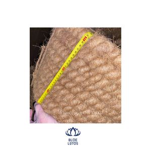 Coir Strings/Coir Twisted/ Coir Rope Diameter 20-30mm Weight 22-25kgs From Blue Lotus Viet Nam - Product Image 1