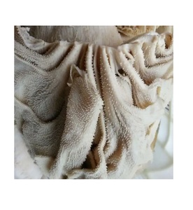 Premium Quality Dry Salted Beef <b>Omasum</b> for <b>Export</b> | Dried Frozen & Fresh <b>Omasum</b> | High Protein Beef Tripe Supplier - Product Image 2