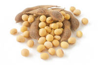 Graines de Soja Biologiques Non-OGM en Gros, Soja Séché Emballé en Vrac 25kg, Type de Culture Alimentation Animale et Consommation Humaine, Sud