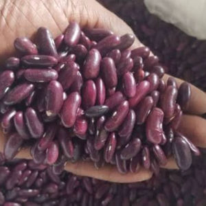 Haricots rouges foncés 25 kg secs AGRO Kenya 100% pur Durée de conservation de 2 ans Disponible en stock pour l'exportation - Product Image 1