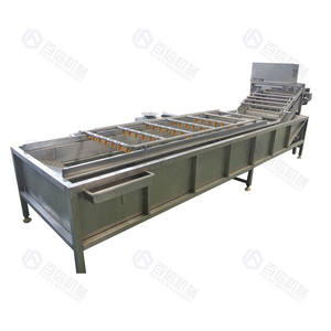 Chaîne de production automatisée à grande échelle de poudre de gingembre, machine à trancher le gingembre motorisée par PLC, en acier inoxydable 304, 100-2000 kg/h - Product Image 4