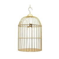 Cage à oiseaux élégante en métal faite à la main, durable, en fer, suspendue, écologique, réglable, décorative pour jardin extérieur