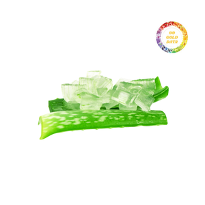 Dés d'Aloe Vera Premium pour l'Innovation du Bubble Tea – Solutions Fraîches de Gelée d'Aloe Vera - Product Image 4