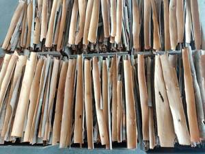 Vente en gros d'épices sèches à la cannelle et au bâton de Cassia de haute qualité Traitement brut à faible quantité minimale de commande du Vietnam - ANNA DO VILACONIC - Product Image 2