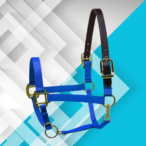 Halter de cheval de style anglais équestre bleu PP couronne accessoire en nylon avec cuir Adj pour l'entraînement des chevaux - Product Image 1