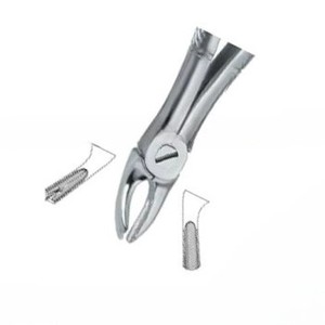 Forceps d'extraction dentaire Fig.39 L, manuel, en acier inoxydable de haute qualité, certifié CE, instruments dentaires avec logo personnalisé - Product Image 5