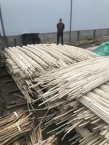 Poste de bambú de ratán recto seco natural Postes de caña de Manau de ratán pulido Correas de caña de tejido Calidad Premium - Product Image 4