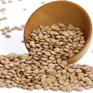 Lentejas Marrones Indias, Masoor Dal Entero Natural, 100% Limpio y Clasificado, Sin Gluten, Veinticinco Kilogramos, Cincuenta Kilogramos a Granel - Product Image 1