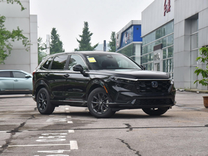 2024 Hybrid SUV 2.0L Fuel + Electric System 5-Seater Automatic Gearbox AWD Leather Interior Rear <b>Camera</b> - Product Image 4