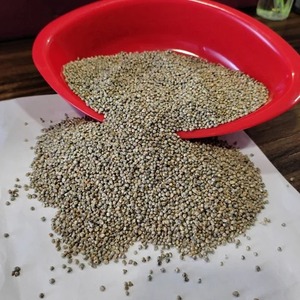 Millets D'alimentation Animale - Product Image 5