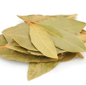ใบลอร์ลูร์ดิบแห้งจากตุรกี 50 กก. บรรจุในห่อ ได้รับการรับรองมาตรฐาน ISO สมุนไพรธรรมชาติจากเมดิเตอร์เรเนียน ขายส่งสำหรับผู้ซื้อและส่งออก - Product Image 3