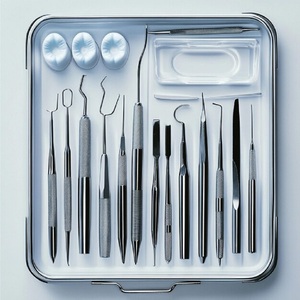 Juego de bandeja para instrumentos dentales-Herramientas manuales de acero inoxidable de primera calidad para uso dental profesional Agarre acolchado certificado CE - Product Image 2