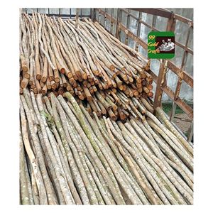 Postes de Madera de Eucalipto Duraderos para Soporte de Jardines, Cercas, Construcción, Paisajismo, Uso Exterior, Resistentes, Exportación de Vietnam - Product Image 1