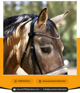 Holesale-ribete de resina, riel natural de temporada - Product Image 3