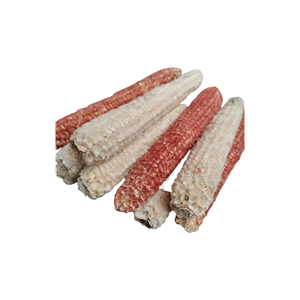 ข้าวโพดสีแดงพร้อมสำหรับการส่งออกจำนวนมากทั่วโลกในเกรดคุณภาพสูง - Product Image 5