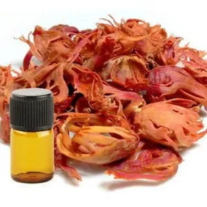 Aceite Esencial de Mace Puro y Natural, Destilado al Vapor, Aceite de Myristica Fragrans para Aromaterapia, Cosmética y Masajes, Venta al Por Mayor OEM - Product Image 1