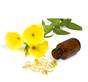 Suministro a granel de aceite de onagra puro disponible para la venta a bajo precio aceite natural al por mayor para uso cosmético y de salud - Product Image 1