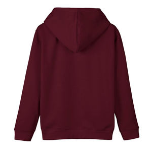 Ropa informal para jóvenes, Sudadera con capucha serigrafiada, Sudadera con capucha para niños, fabricante de ropa, sudaderas con capucha de algodón impresas personalizadas para niños - Product Image 2