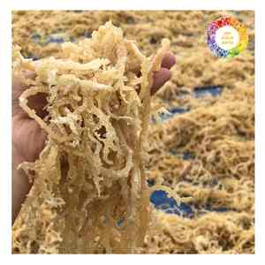 Algues Eucheuma Cottonii de qualité supérieure du Vietnam 100% algues naturelles séchées au soleil pour l'extraction de carraghénane et l'utilisation à l'exportation - Product Image 2
